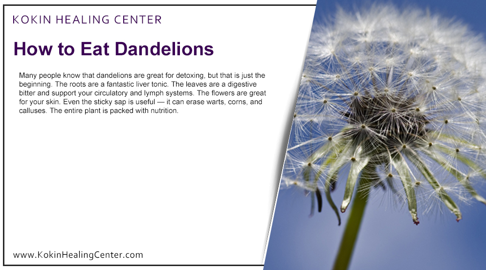 How to Eat Dandelions Kokin Healing Center