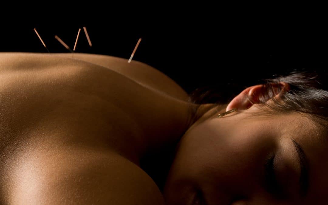 The Immune System in Traditional Chinese Medicine