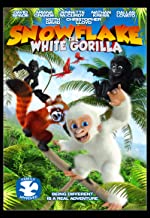Snowflake the white gorilla