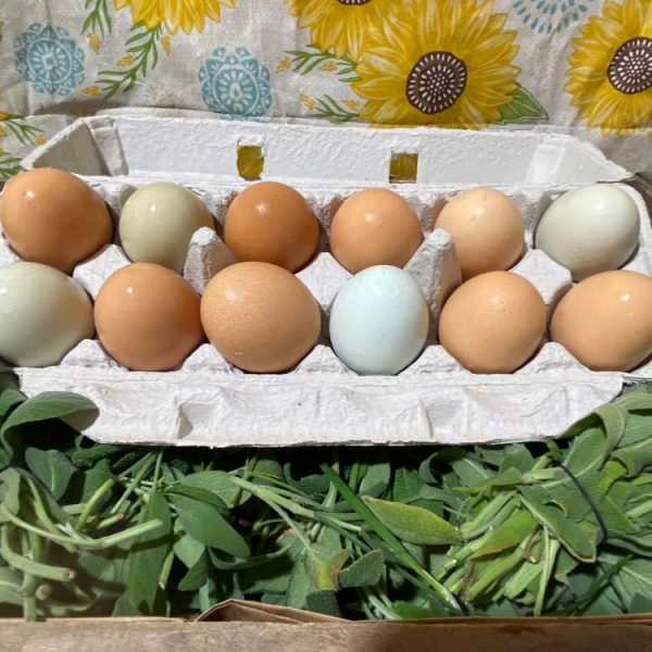 dozen eggs subscription