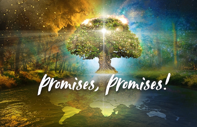 Promises, Promises!