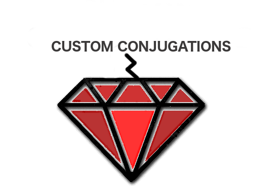 FND Custom Conjugations