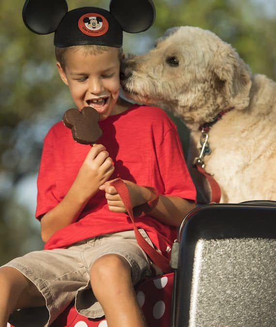 Dogs Welcome at Select Walt Disney World Hotels Starting Oct. 15