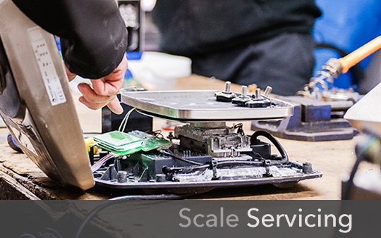 scale-Servicing---our-servcies