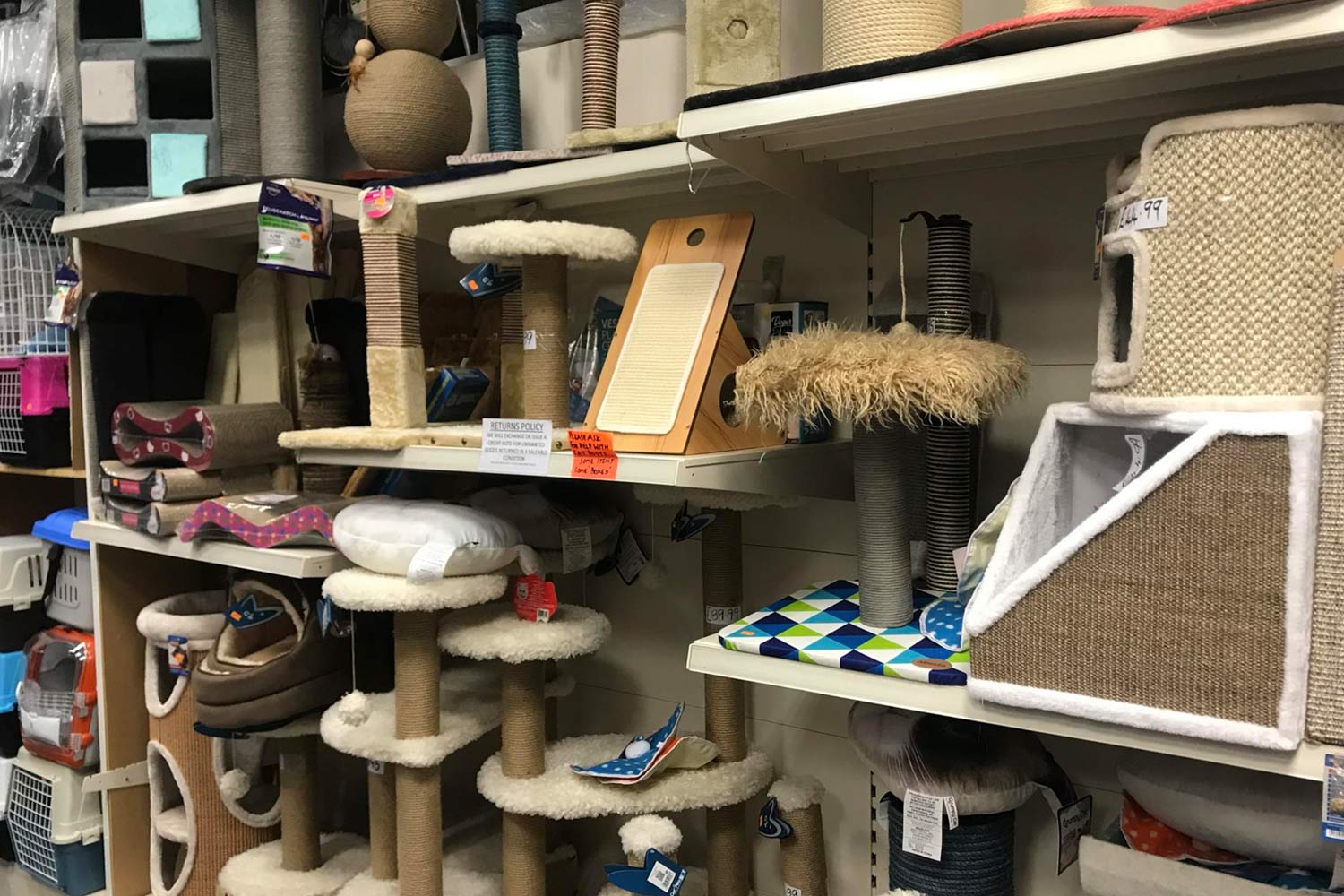 Are There Any Clothing Stores Open Near Me At Cherie Harris Blog