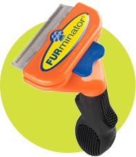 Dog grooming products at The Big Pet Store