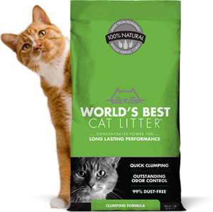 big lots kitty litter