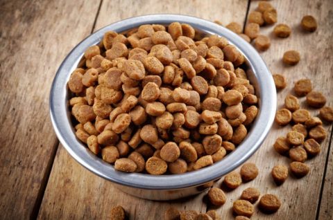 Healthcare products for dogs at The Big Pet Store