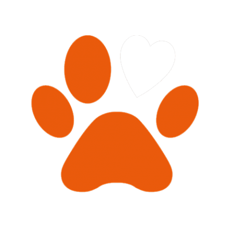 Find the Big Pet Store