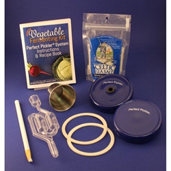 Vegetable Fermenting Kit