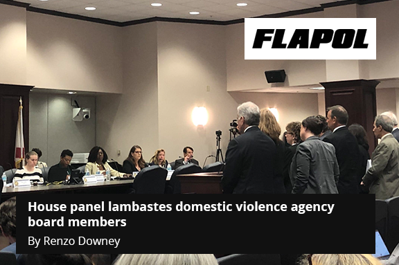 House panel lambastes domestic violence agency board members