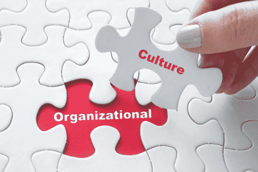 Four Ways Leaders Can Cultivate Culture in a Nonprofit Organization