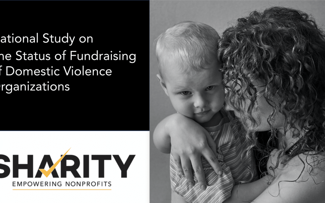 Presentation: National Study on the Status of Fundraising for Domestic Violence Organizations