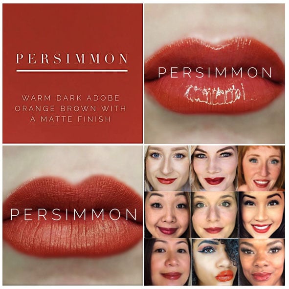 permission lipsense