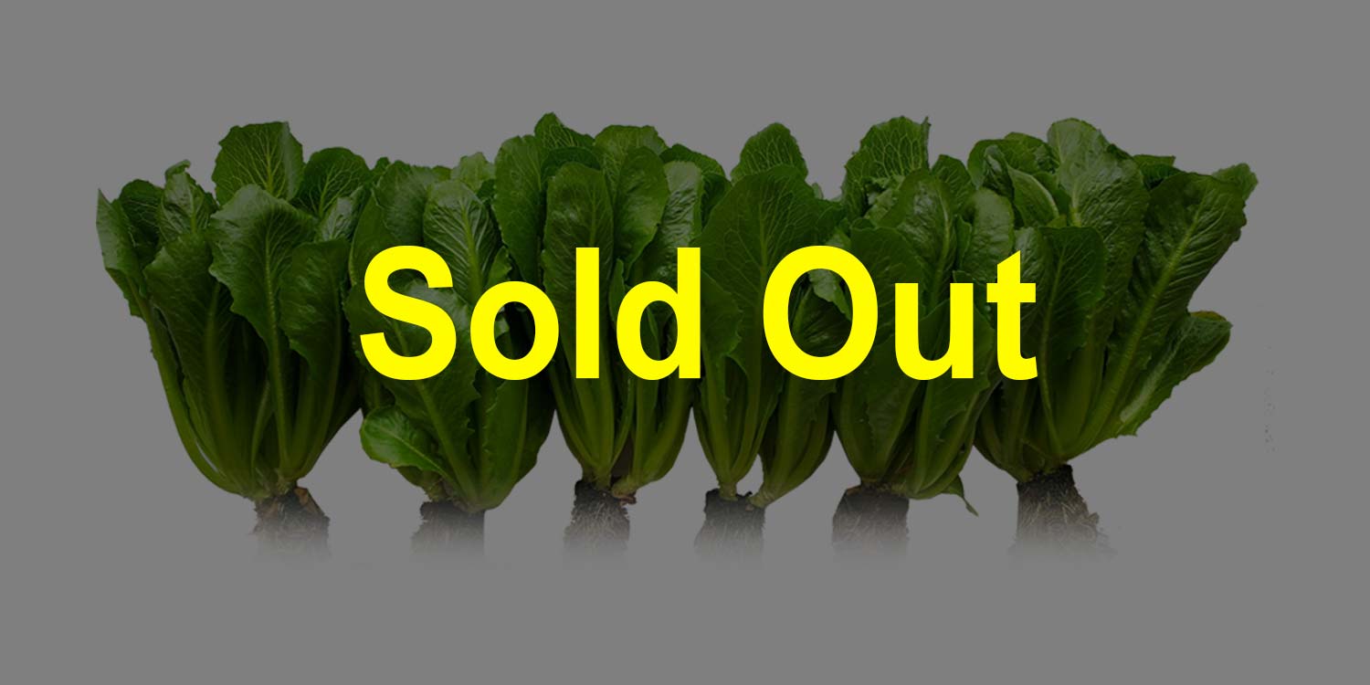 Crunchita-Sold-Out