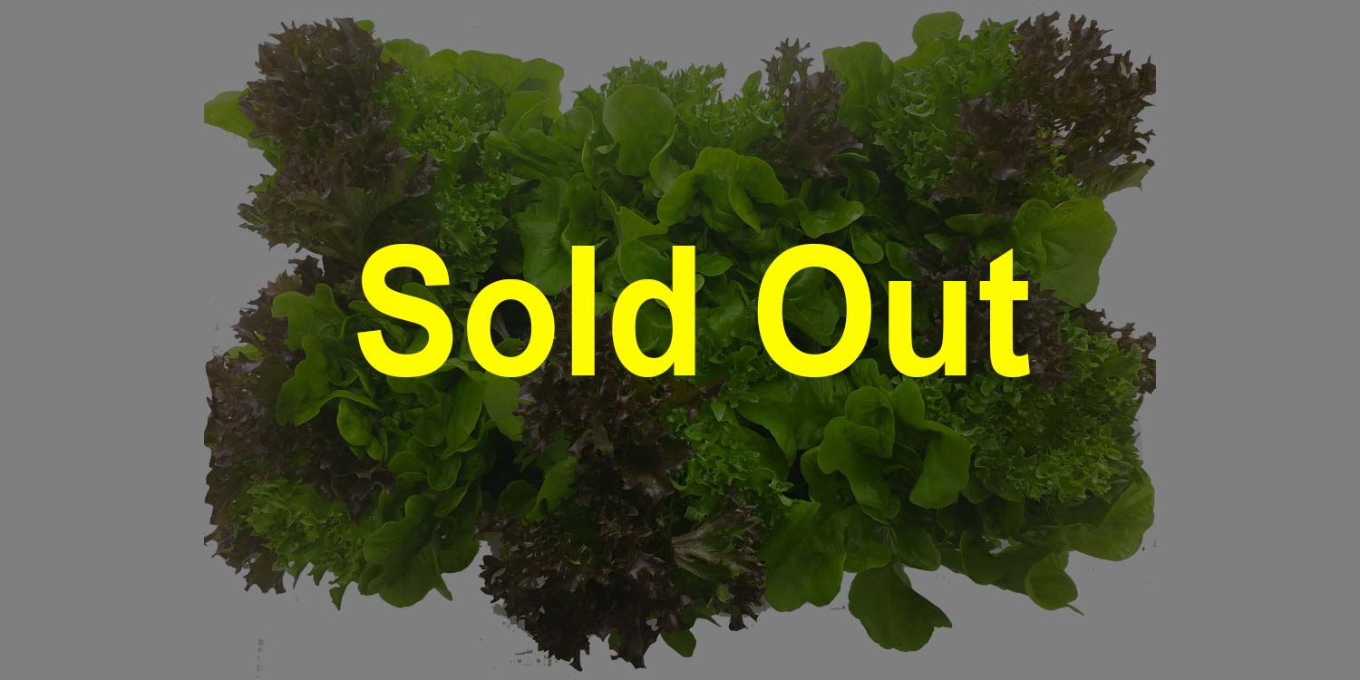 Trio-Sold-Out