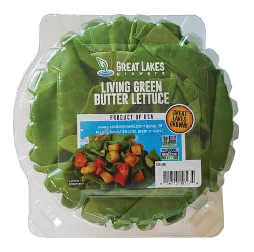 single-clam-living-lettuce single clamshell living lettuce