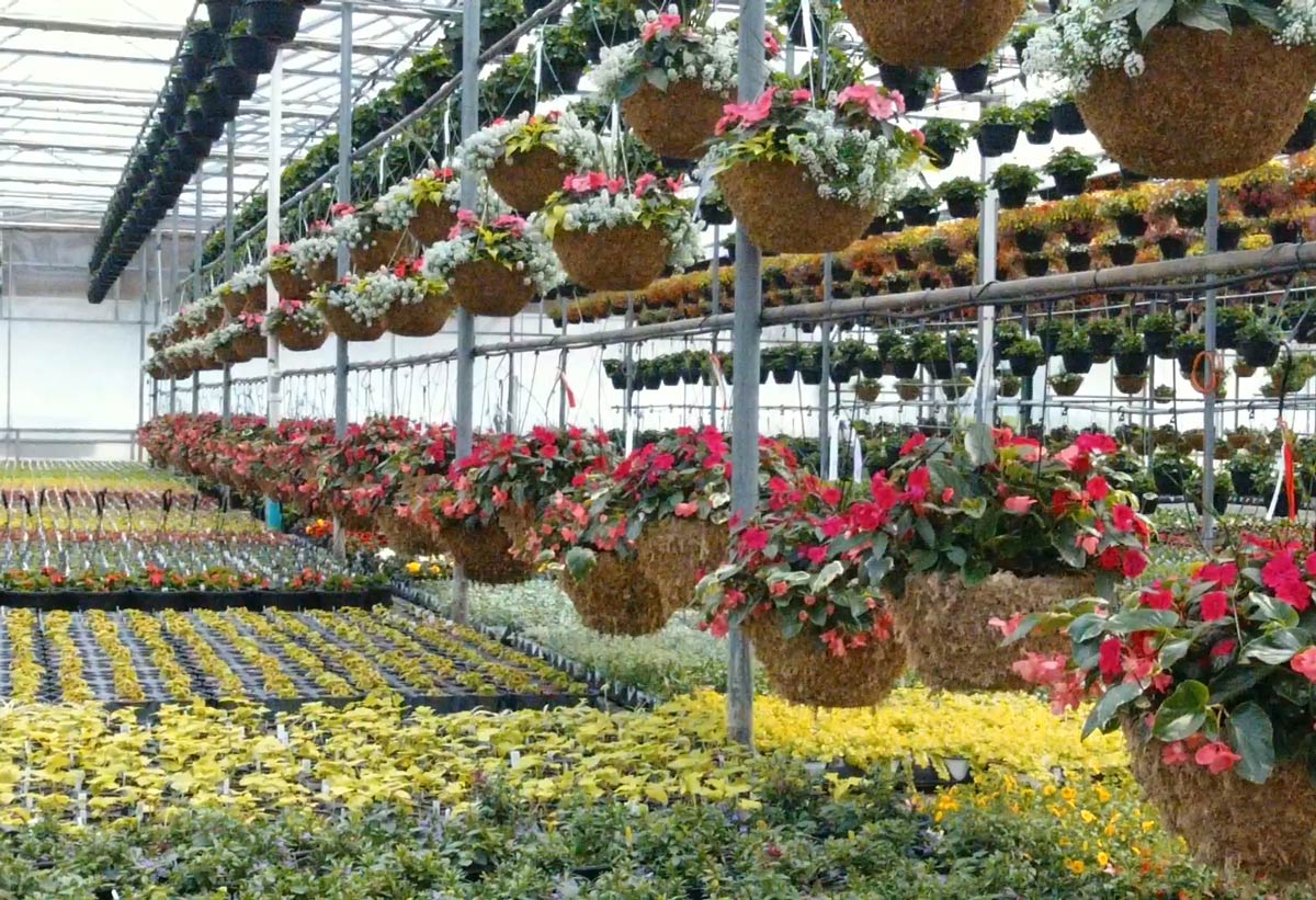 UG-Greenhouse-inside-cropped urbanowicz family