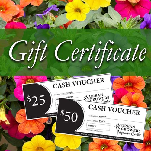gift certificate for Urban Growers