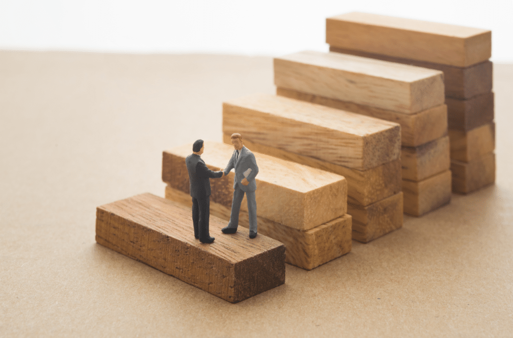 December 2020 Newsletter – Training Successors for their Future Roles in Your Company