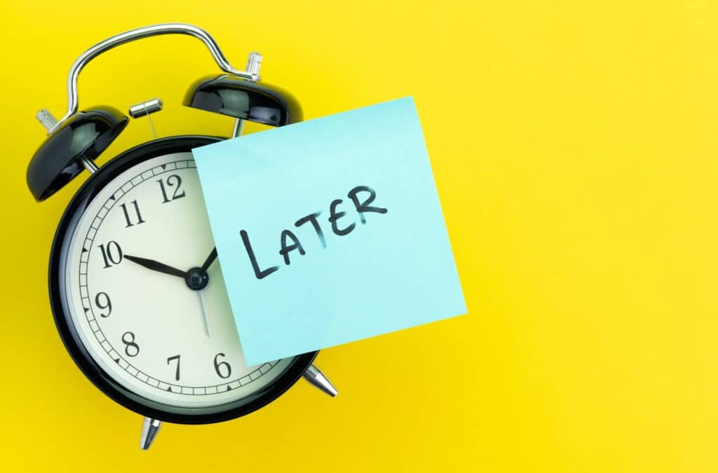 Why Do Owners Stay Too Long?