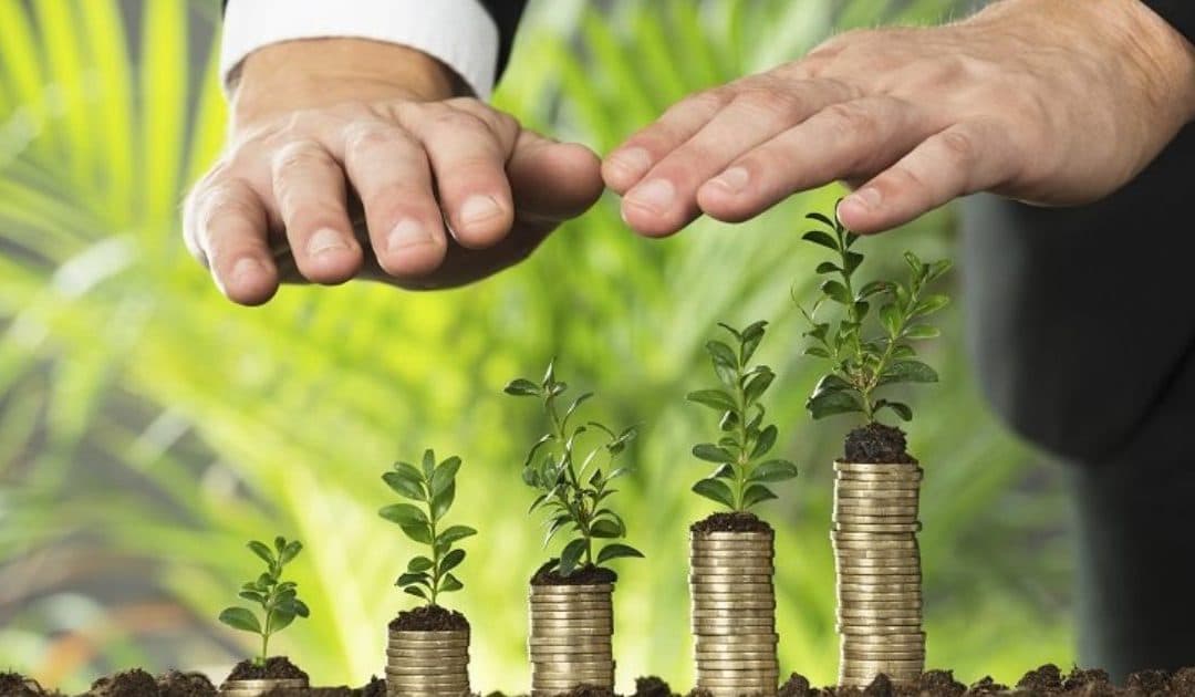 Planning for Financial Sustainability