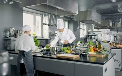 Menu Item Analysis and Categorization for Restaurants