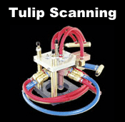 Tulip scanning inductor