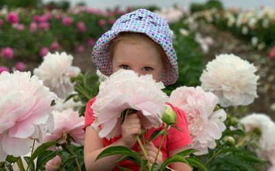Moonstruck for Moonstone Peony