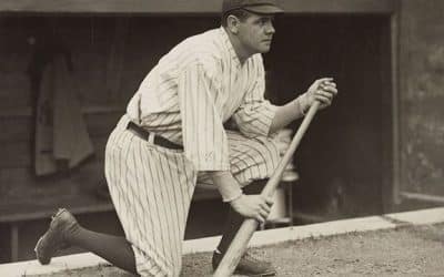 A Beetle Strikes Out Baseball’s Famous Ash Bats