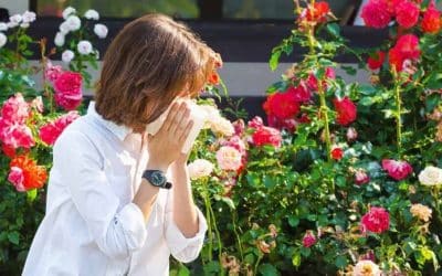 Don’t Blame the Flowers for your Allergies, Salmon Patties