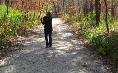Fall Fever!