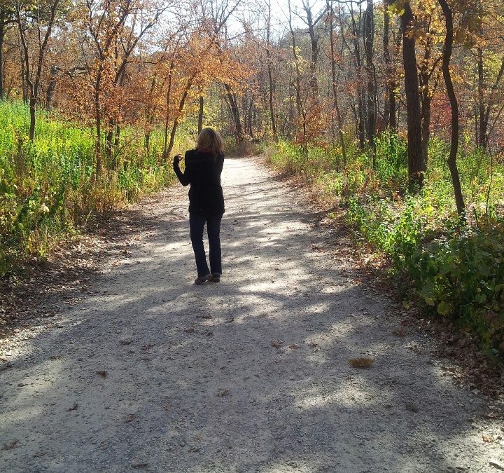 Fall Fever!