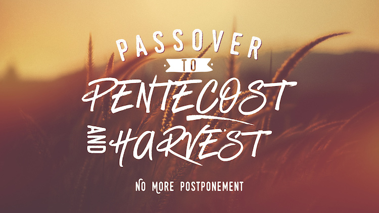 Passover to Pentecost and Harvest
