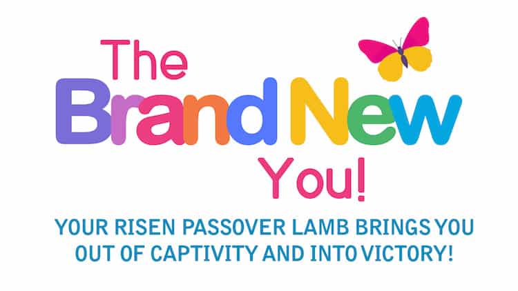The Brand New You