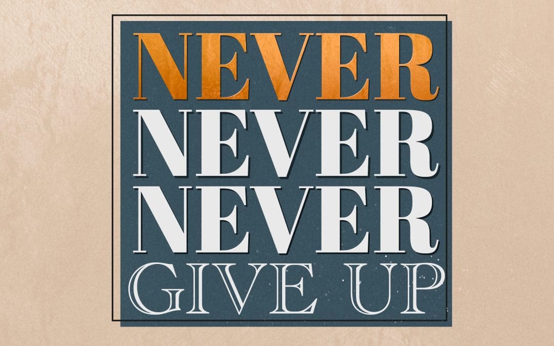 Never Never Never Give Up