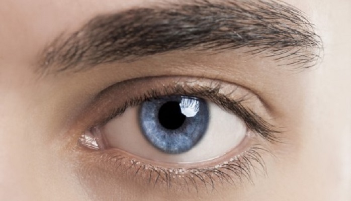 eye1.jpg