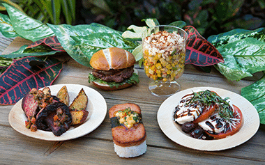 SeaWorld- Seven Seas Food Festival
