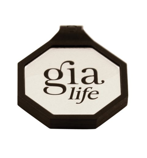 Gia Pendant Lite