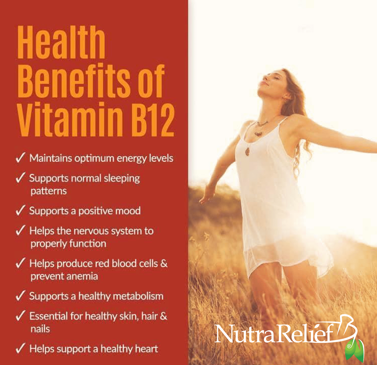 VITAMIN B12 -METHYLCOBALAMIN TOPICAL CREAM (NET WT. 1.9 OZ.) - Image 2