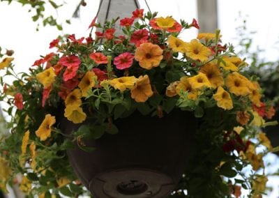 12-Inch Combo Baskets