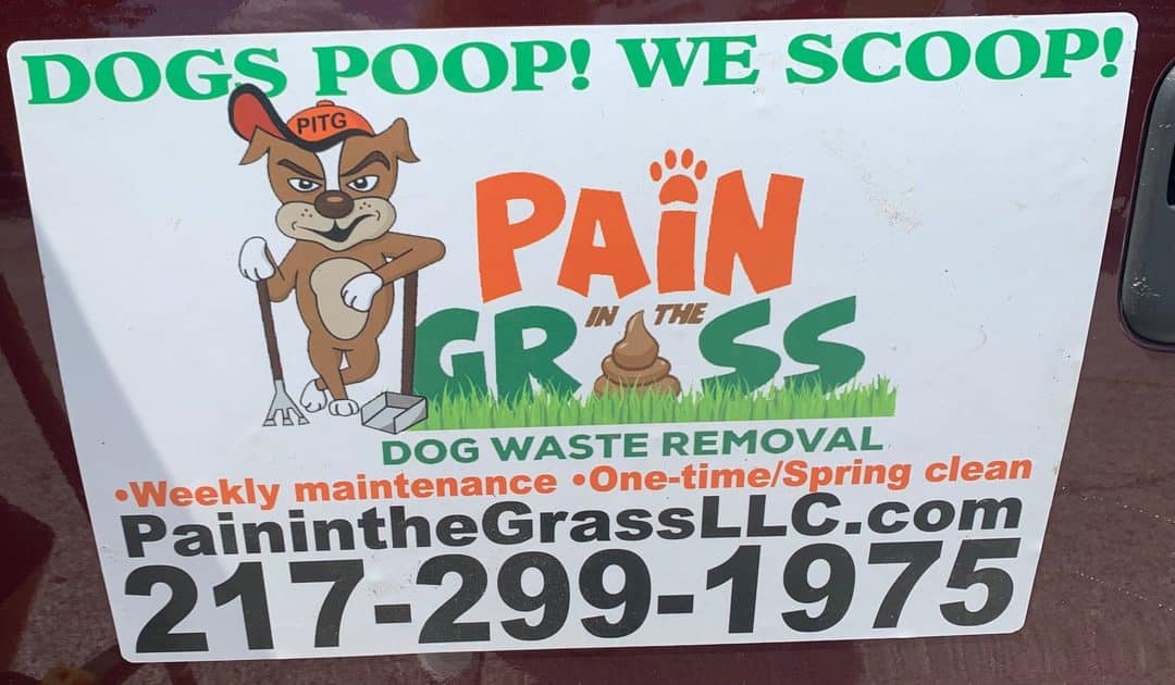 Pain in the Grass Dog Waste Removal!