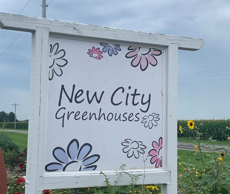 New City Green House, A Pawnee Business