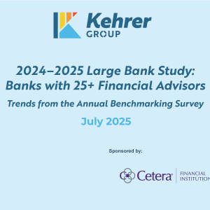 2024-2025 Large Bank Study and Dashboard